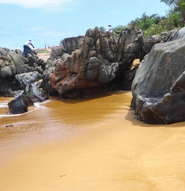 LA PLAGE DE GRAND-BEREBY