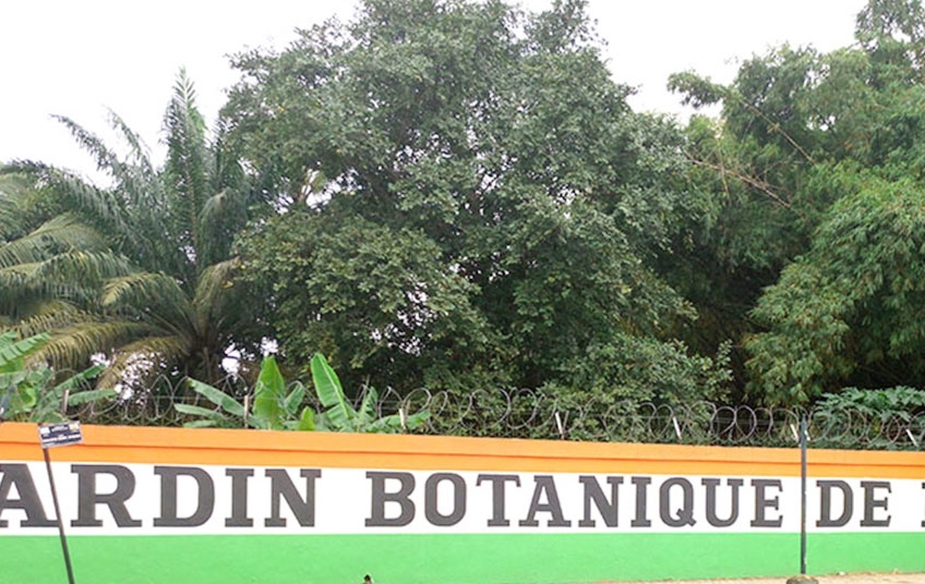 Jardin Botanique de Bingerville