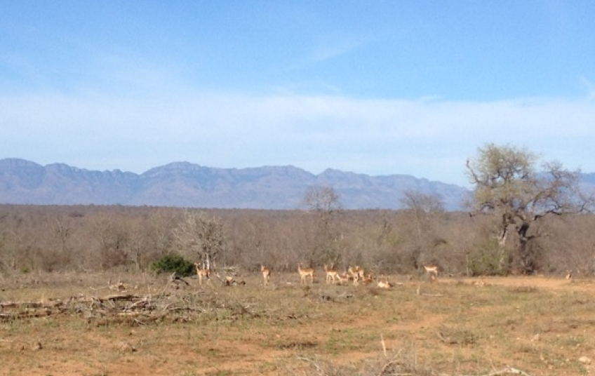 Réserve de faune et de flore du Haut Bandama