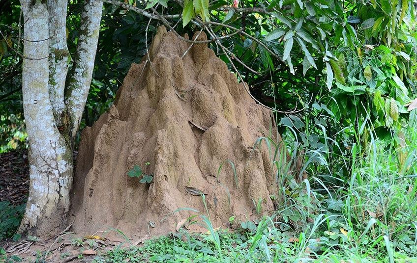 Les réserves naturelles