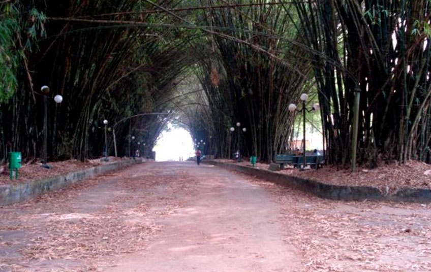 Le Jardin Botanique de Bingerville