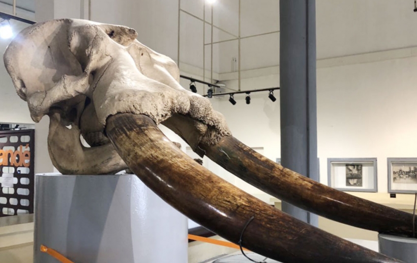 LE MUSEE DES CIVILISATIONS DE COTE D’IVOIRE