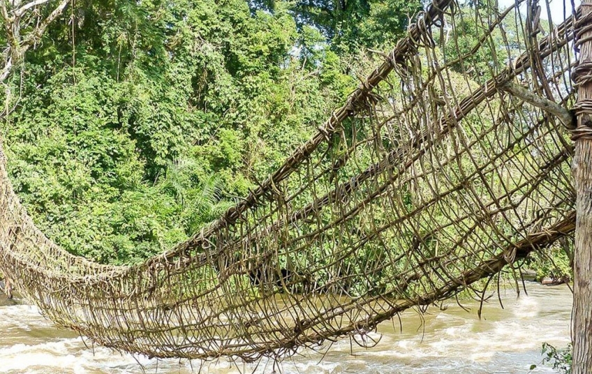 LE PONT DE LIANE DE LIEUPLEU