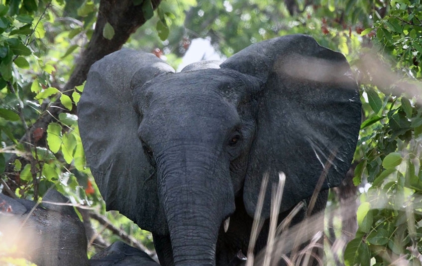 Direction Générale