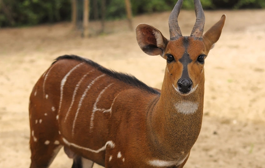 Direction des Ressources Humaines, de la Formation et du Perfectionnement (DRHFP)