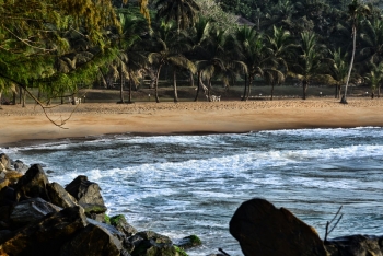 La région de San Pedro