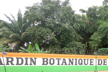 Jardin Botanique de Bingerville