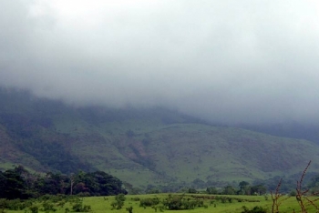 Réserve naturelle Intégrale du Mont Nimba