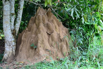 Les réserves naturelles
