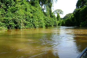 Parc National de Taï