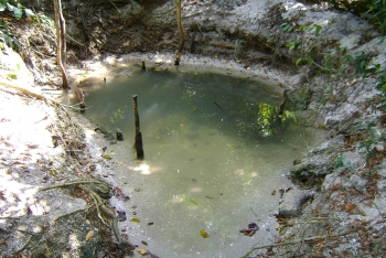 Parc National des Iles Ehotilé