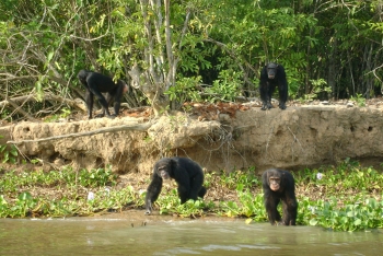 Parc National d’Azagny