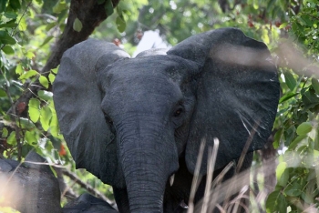 Direction Générale