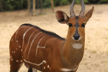 Direction des Ressources Humaines, de la Formation et du Perfectionnement (DRHFP)